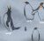 silbergrau-Pinguin-Kolonie